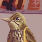 Imagen Ecología Urbana